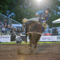 Bull Riding at the Alvinston Pro Rodeo