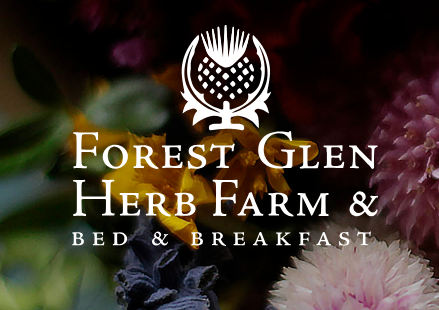 Food Day Canada 2013 – Forest Glen Herb Farm